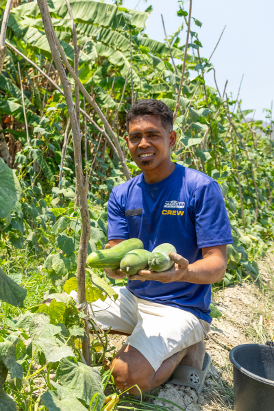 Timor Leste Food Security Chiquito Growing Vegetables