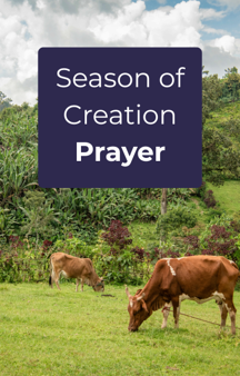 Season of Creation Prayer  Thumbnail.png