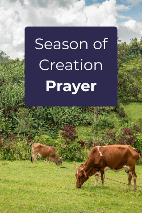 Season of Creation Prayer  Thumbnail.png