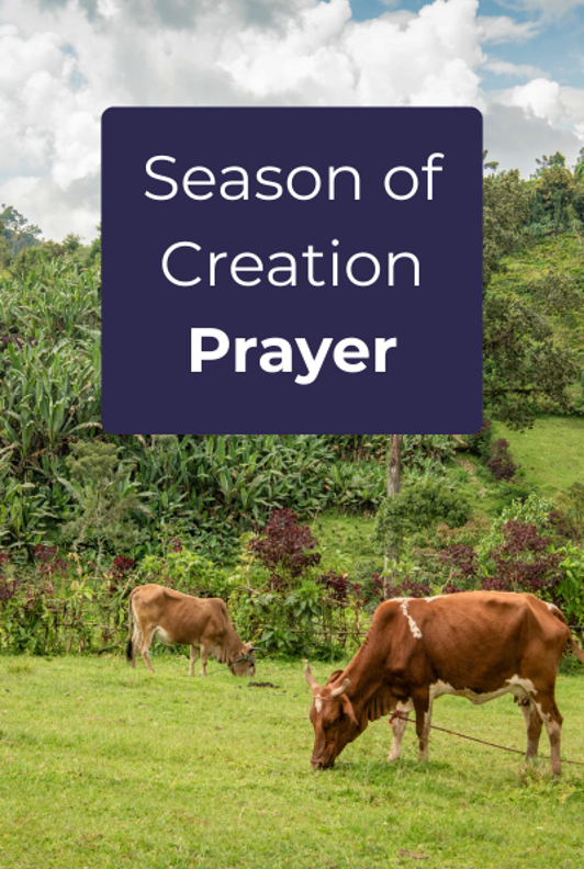 Season of Creation Prayer  Thumbnail.png