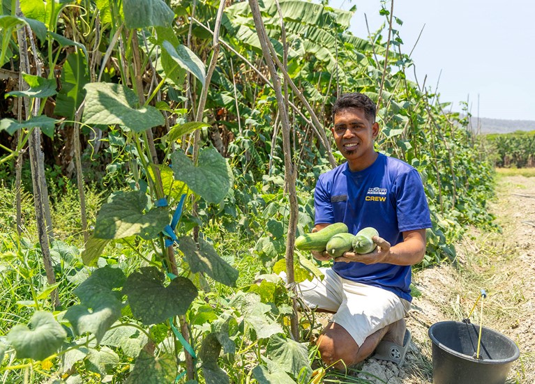 Chiquito can now produce a wide variety of crops and earn income to support his family. Photo: Tim Lam/Caritas Australia