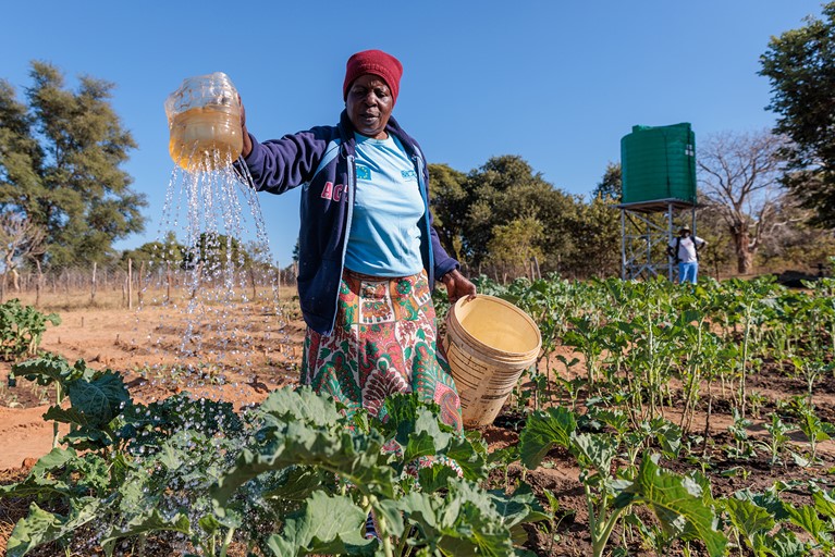 Priscilla, Zimbabwe, learned conservation farming to produce drought-resistant crops. Photo: Richard Wainwright.