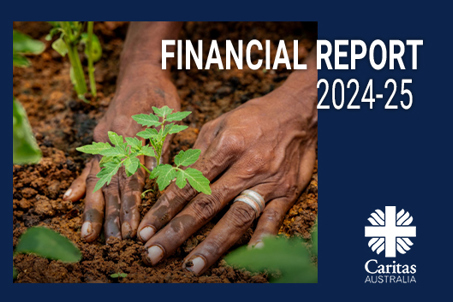 Annual Financial Report Thumbnail Template Copy