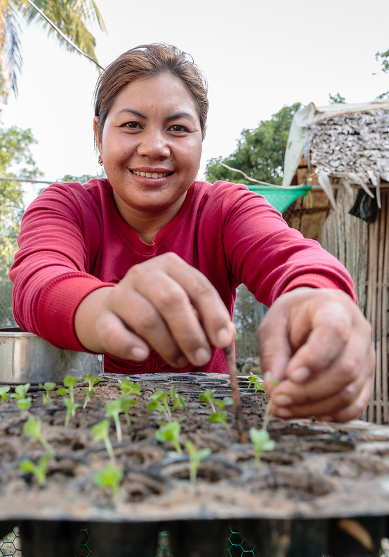Women with seedlings in Cambodia.