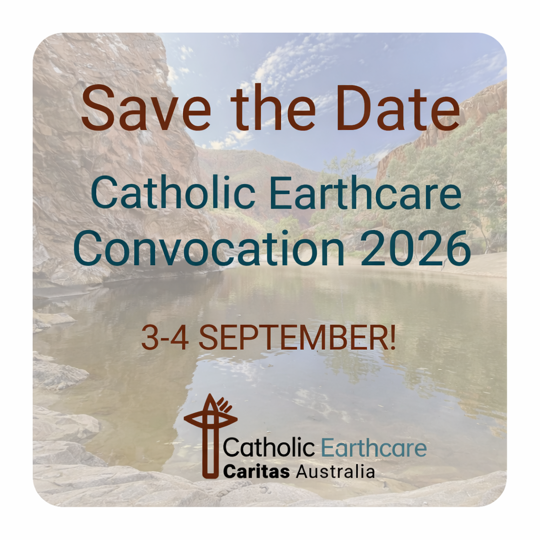 Chatgpt Image Dec 19, 2025, 08 30 44 AM