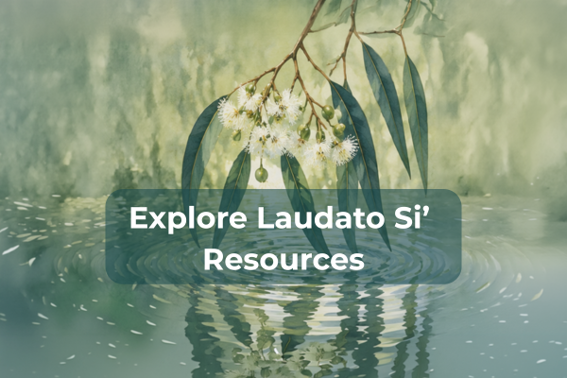 Explore Laudato Si’ Resources.png