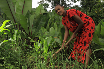 Yeshareg Learning Farming