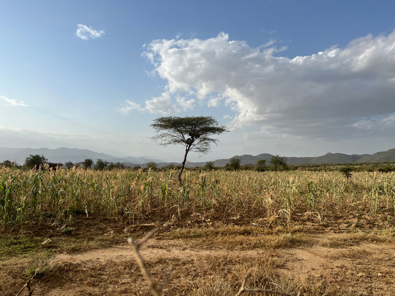 Drought Struck Lands Of Southern Ethiopia Photo Richard Landels Caritas Australia