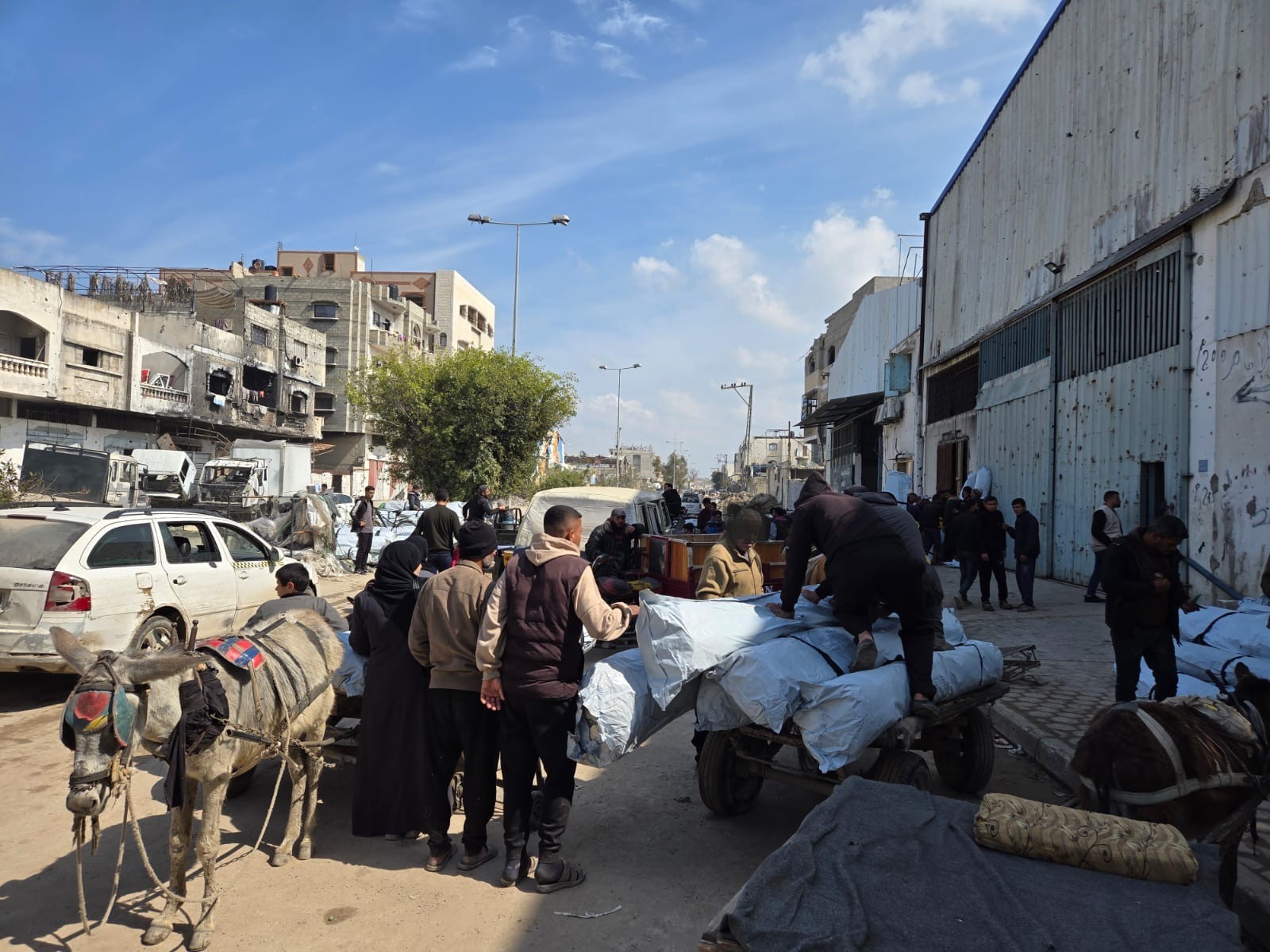 People Collect And Move Aid Via Donkeys In Gaza Photo Credit Caritas