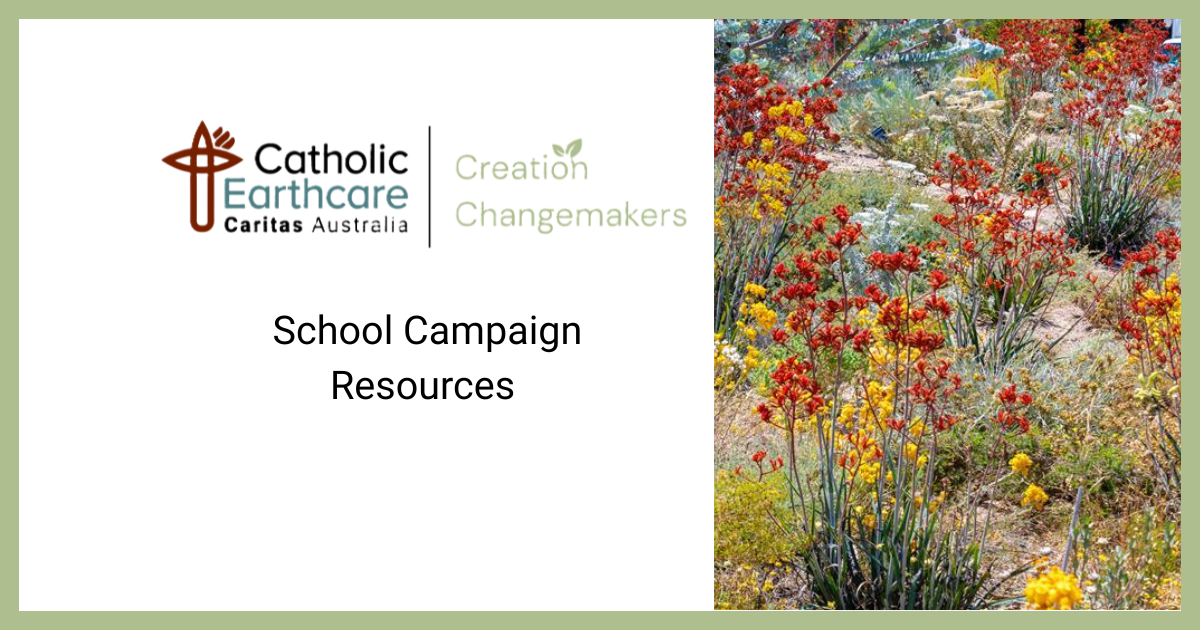 School Campaign Resources (1200 X 630 Px)