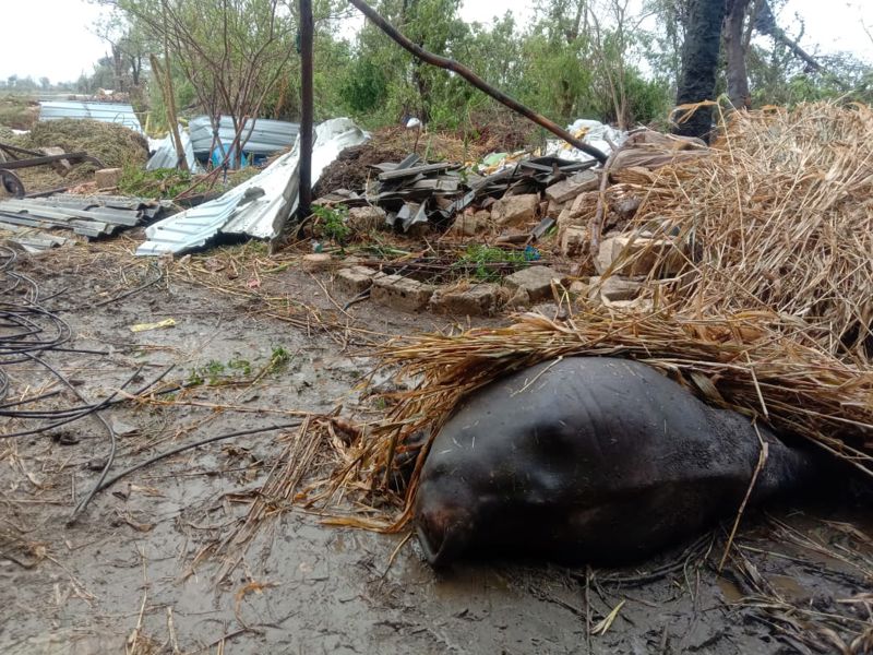 cyclone damage to rural house in india