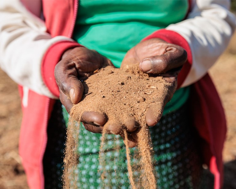 Priscilla clutches dry soil amidst a drought on her farm in Zimbabwe. Photo: Richard Wainwright/Caritas Australia