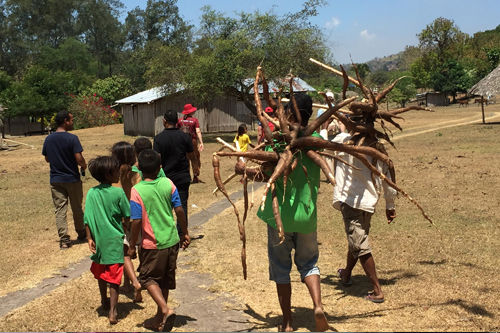 Caritas Immersion Participant Harvest Cassava (1)
