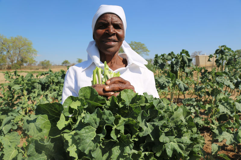Caritas Australia Sustainable Farming (1)