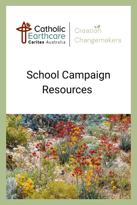School Campaign Resources