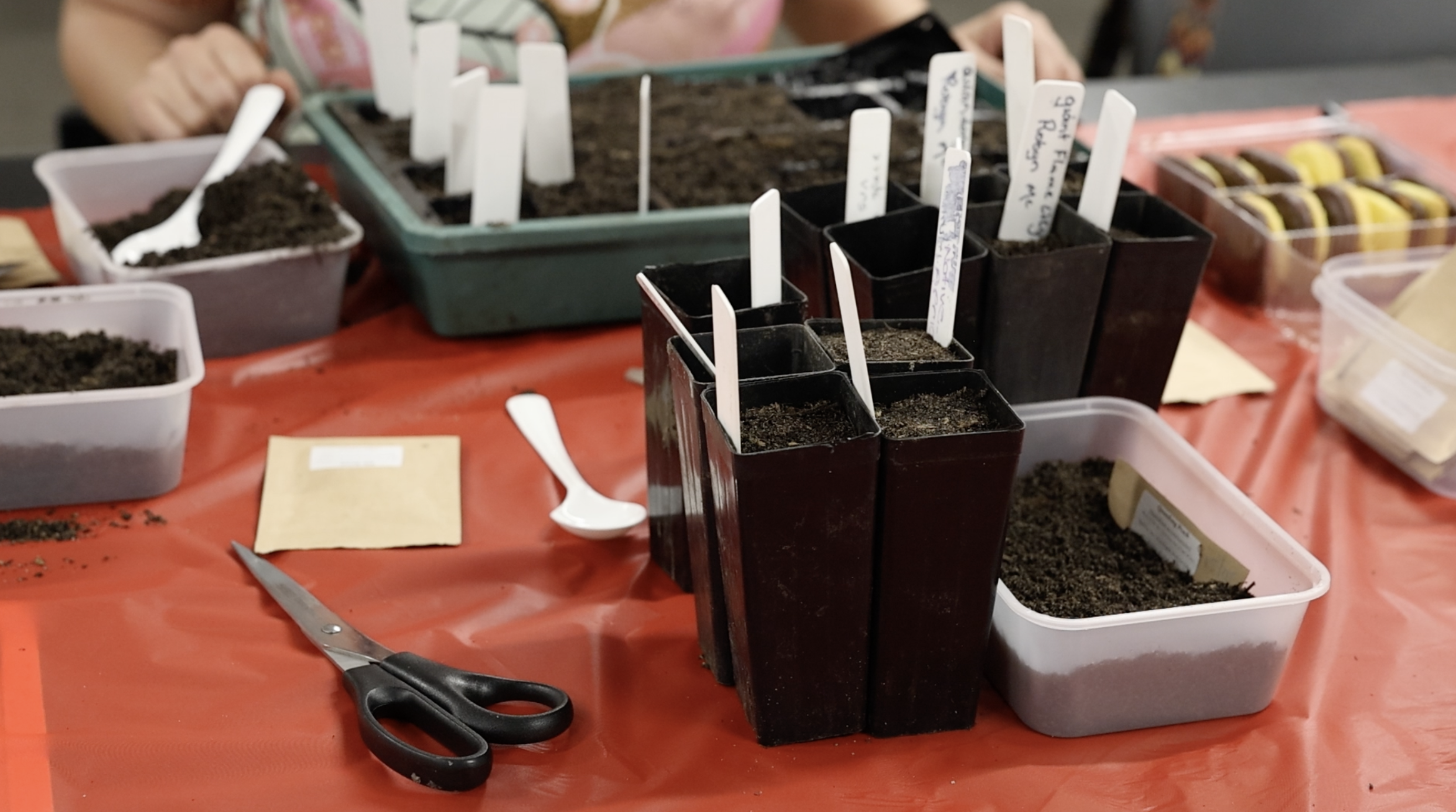Seed Planting Pots