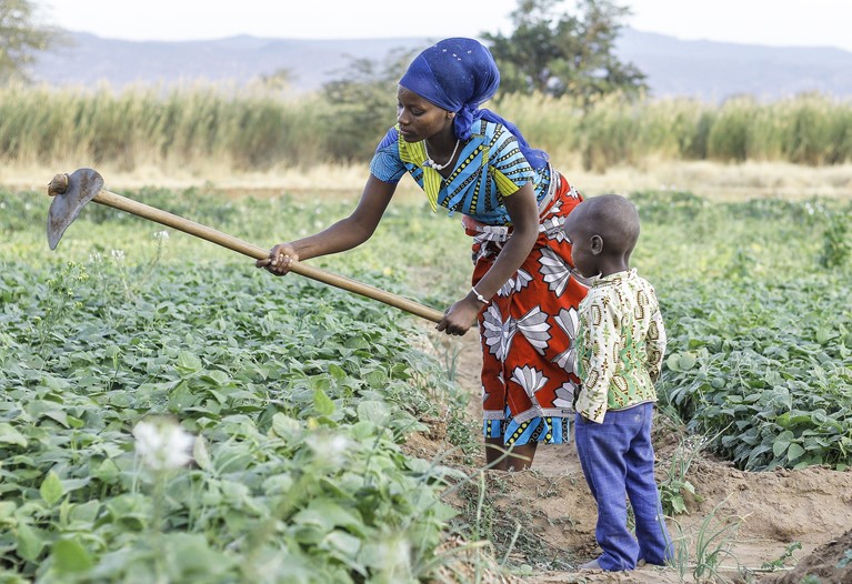 Oliva works in fields growing beans near her home in Karatu District in Tanzania, August 2020. Photo credit: Richard Wainwright/Caritas Australia.