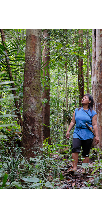 Rainforest Game (1)