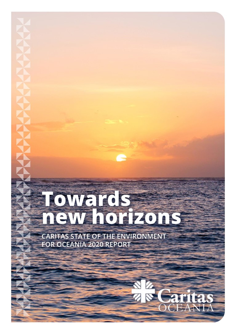 The Towards New Horizons report looks at the state of the environment. 