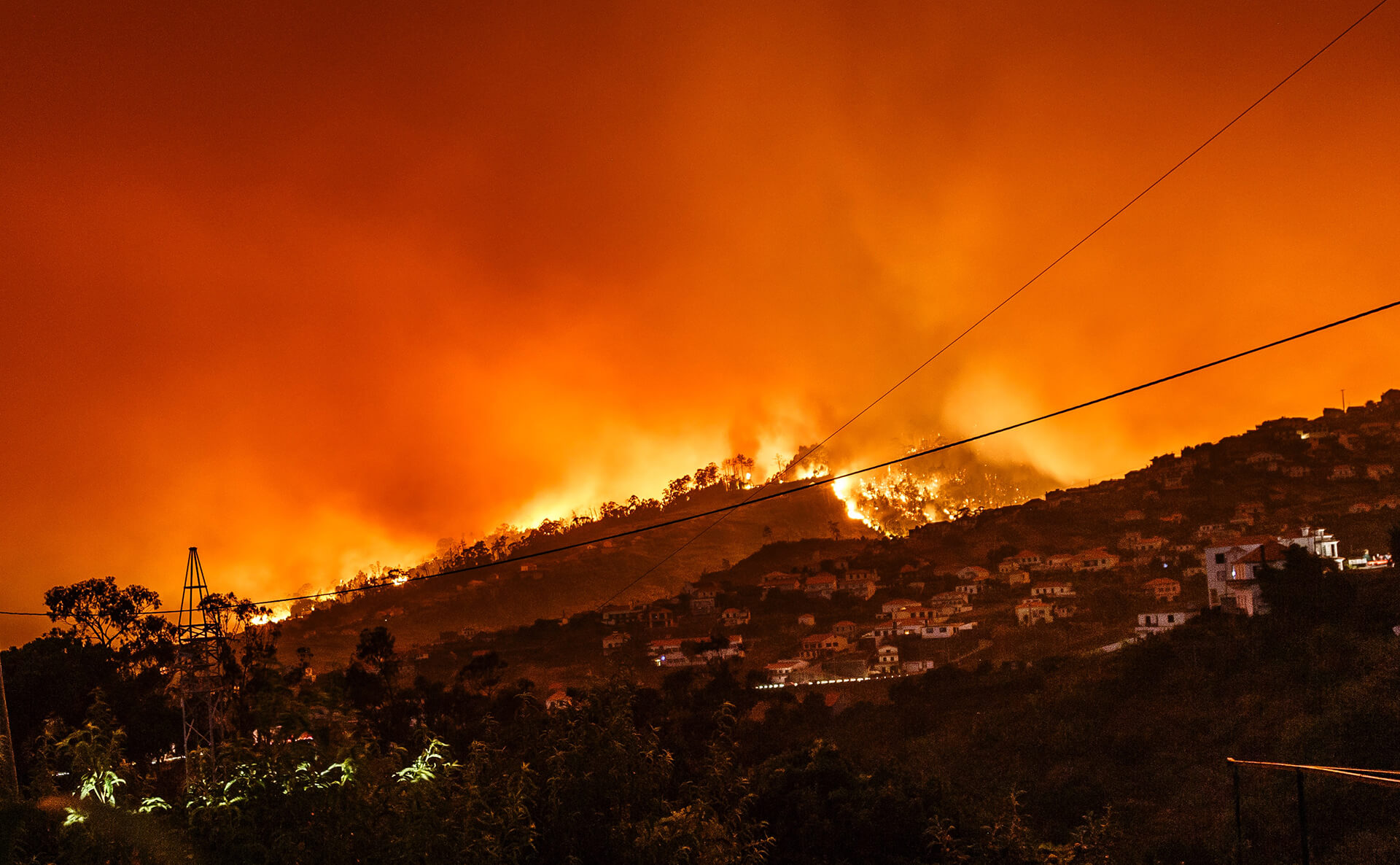 Australian Bushfires Stock Image Unsplash