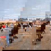 Ukrainian refugees fleeing to safety at Ukraine-Poland border.