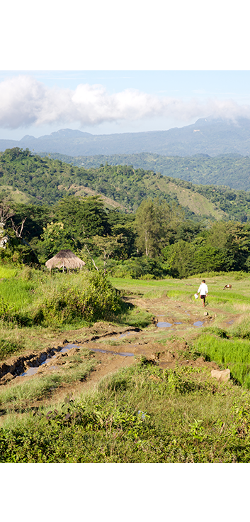 Laudato Si Reflection