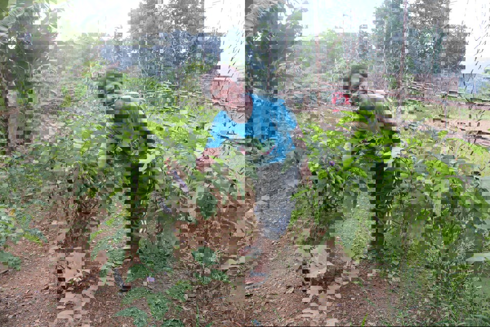Shirley In Her Farm