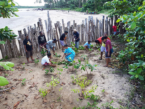 Okaba Planting Lower Res (1)