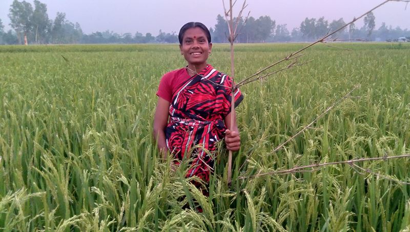 Chanmoni on her farm in Bangladesh