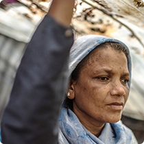210 Rohingya Case Study (1)