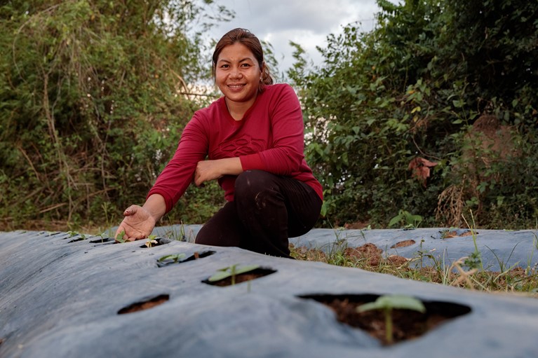 Phany working in one of her gardens with newly planted vegetables at their home in Pursat District, Western Cambodia, 2019. By using the drip irrigation system, plastic covering to keep in moisture and other techniques learnt through the Caritas Australia supported Environmental Protection and Development Organisation (EPDO) project, she can now grow vegetables during the dry hot summer. Photo credit: Richard Wainwright/Caritas Australia.