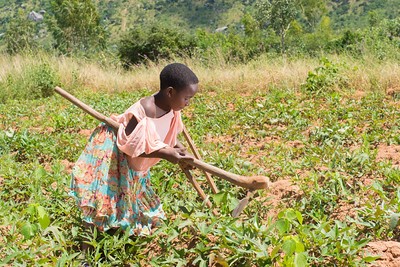 Tawonga, aged 10 is in a field of sweet potatoes.  Photo: CADECOM