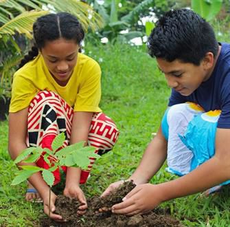 Cover Samoa Planting 8 683X1024 Square (1)