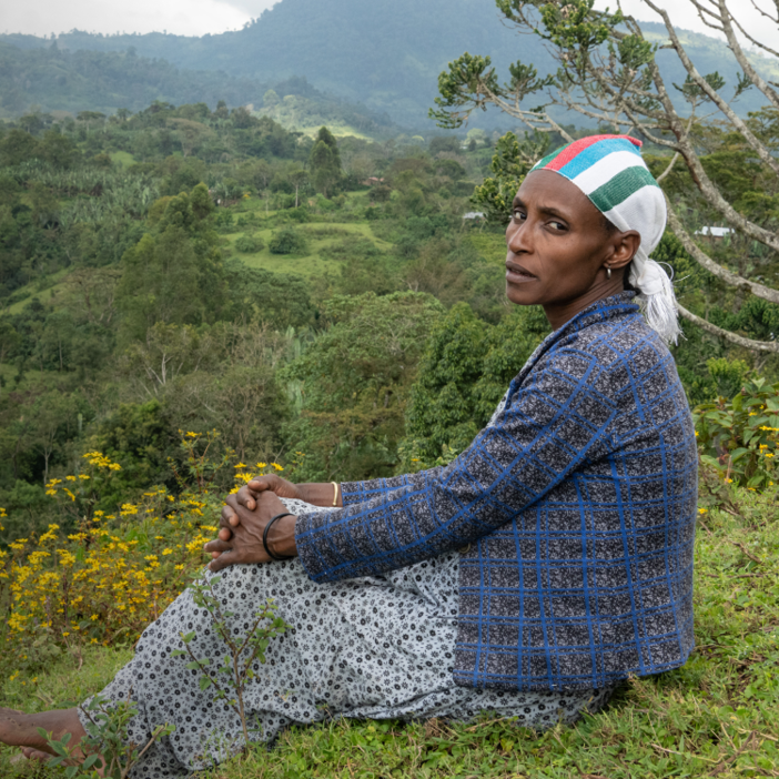 Tax 2025 LP MOBILE IMG1 (1)