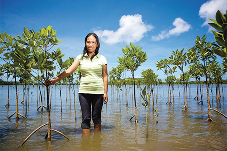 Aloma PC17 Philippines Landscape