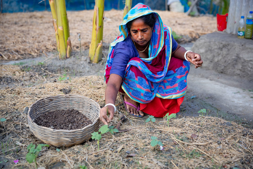 Anita Planting Crops