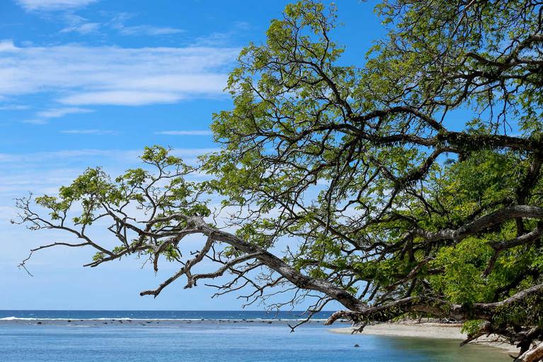 The Solomon Islands are often hit by tropical cyclones, worsened by climate change. Credit: Photo: Neil Nuia/Caritas Australia